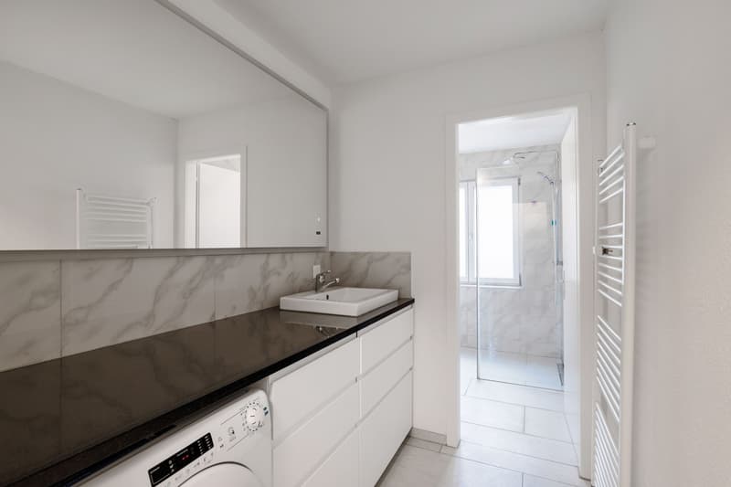 Emménager maintenant - appartement fraîchement rénové calme, vert & central (4)