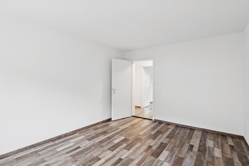 Emménager maintenant - appartement fraîchement rénové calme, vert & central (10)