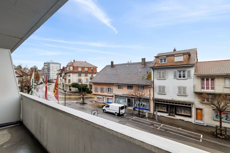 Emménager maintenant - appartement fraîchement rénové calme, vert & central (3)