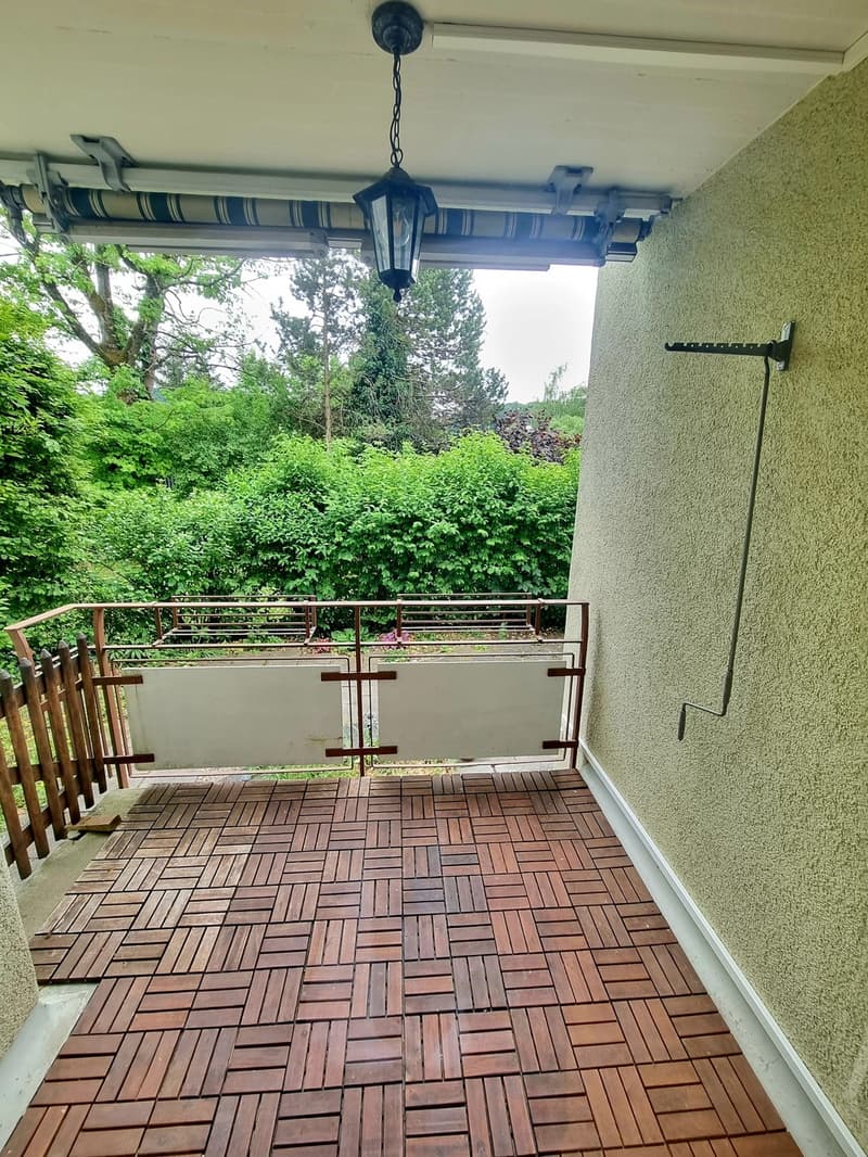 Grosse komfortable 4.5 Zimmerwohnung mit tollen Gartensitzplatz (1)