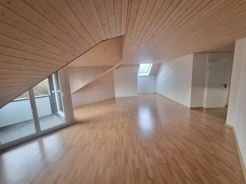 Beautiful apartment in Biberist! (2)