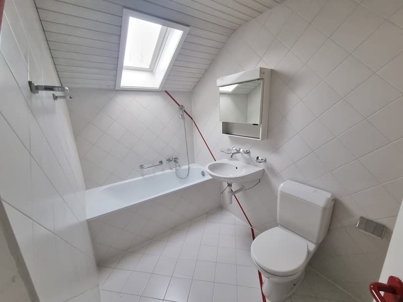 Beautiful apartment in Biberist! (5)