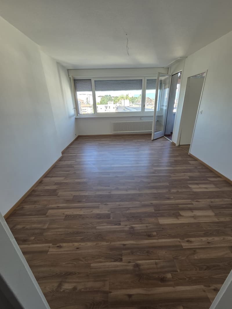 Nel centro di Malley, splendido appartamento ristrutturato con balcone e vista (3)