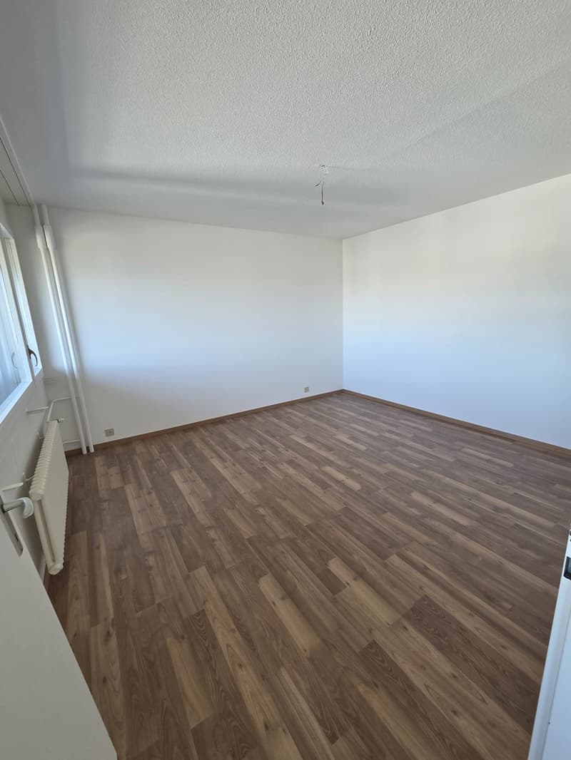 Nel centro di Malley, splendido appartamento ristrutturato con balcone e vista (4)