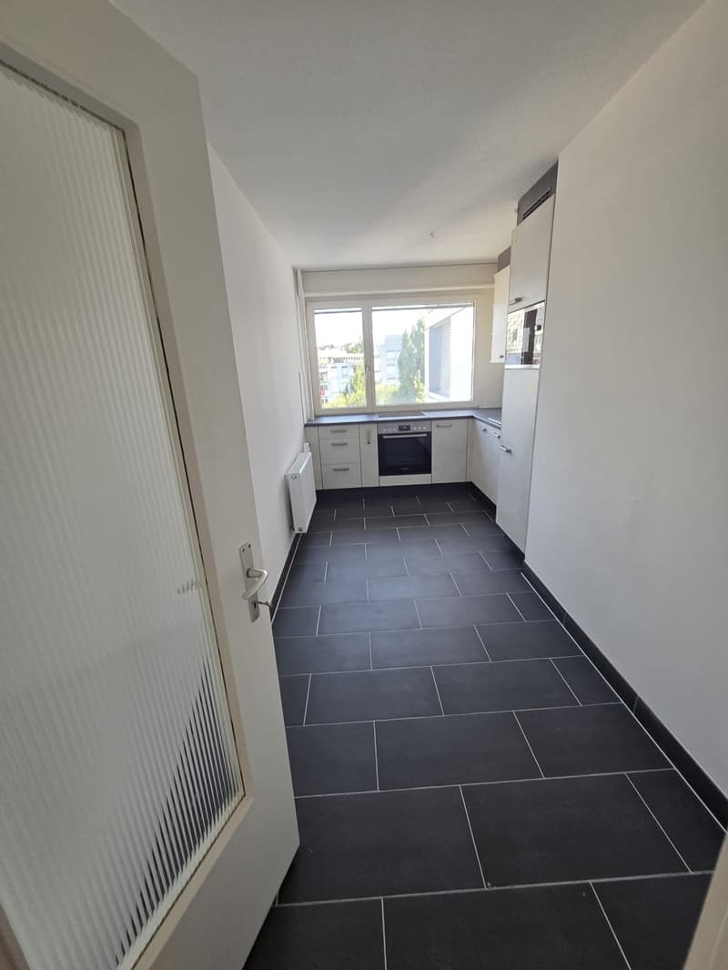 Nel centro di Malley, splendido appartamento ristrutturato con balcone e vista (2)