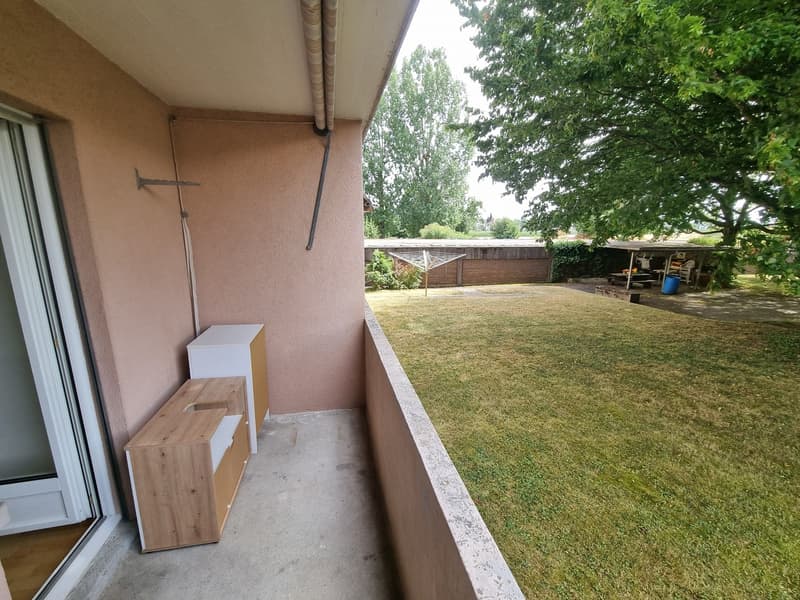 Your apartment search ends here! (6)