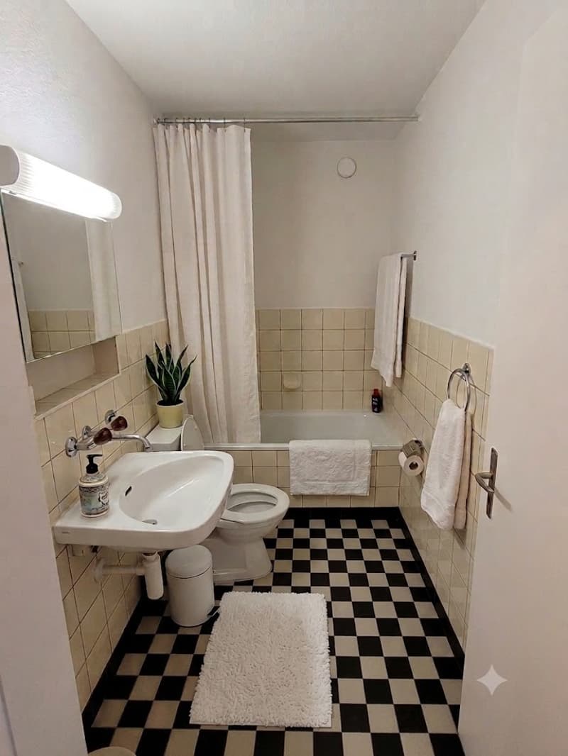 Stylish 1-room jewel in the heart of Wiedikon (4)