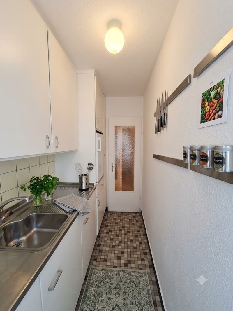 Stylish 1-room jewel in the heart of Wiedikon (3)