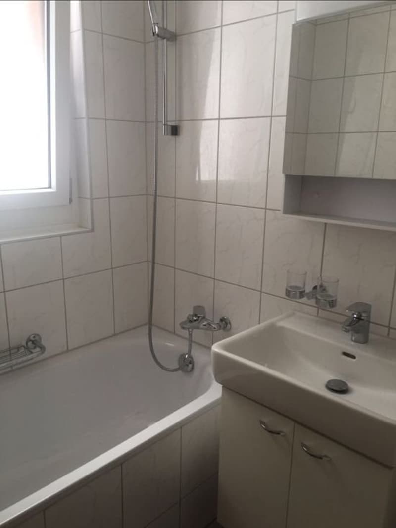 Large 4 1/2 room apartment with sunny balcony (4)