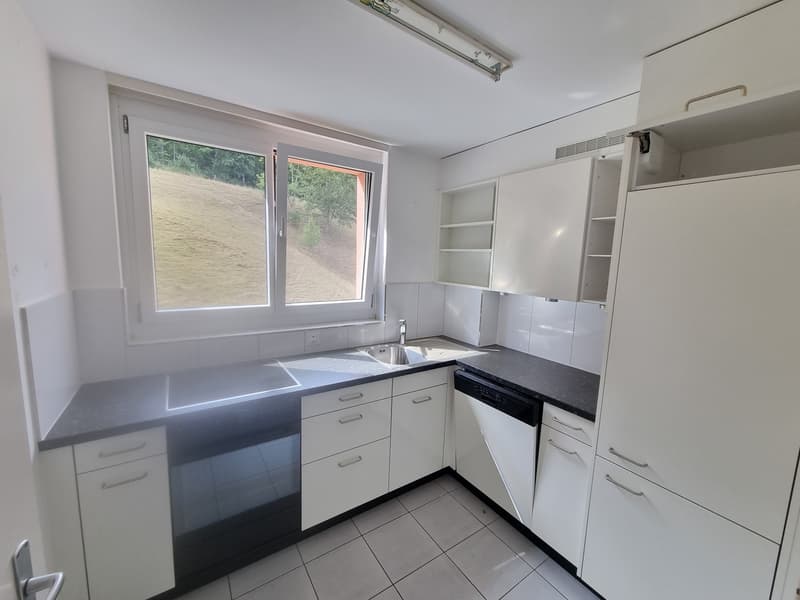 grosse 4 1/2 Zimmer-Wohnung mit sonnigem Balkon (2)