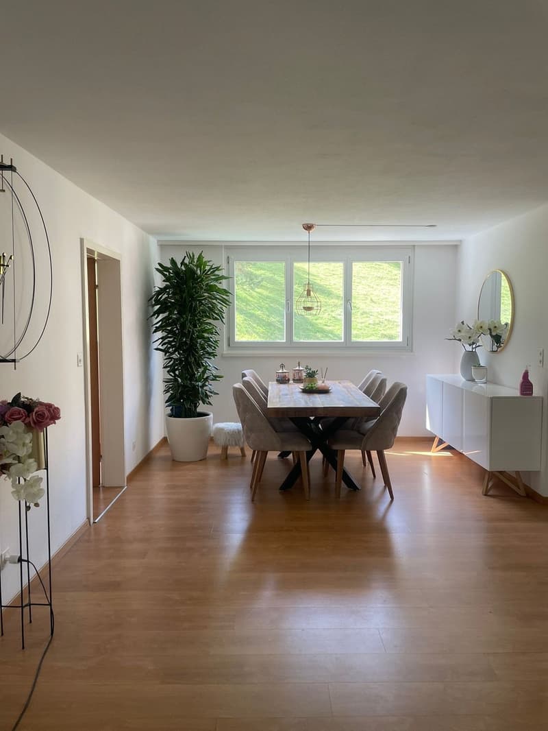 Large 4 1/2 room apartment with sunny balcony (2)