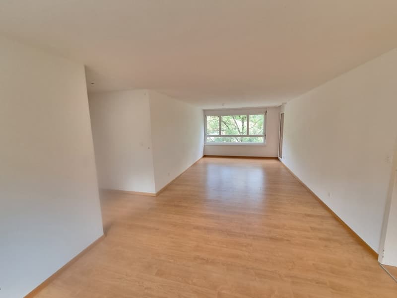 grosse 4 1/2 Zimmer-Wohnung mit sonnigem Balkon (5)