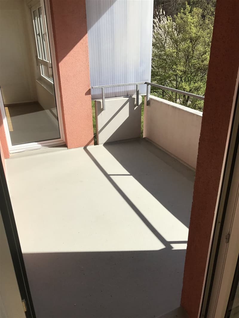 Large 4 1/2 room apartment with sunny balcony (7)