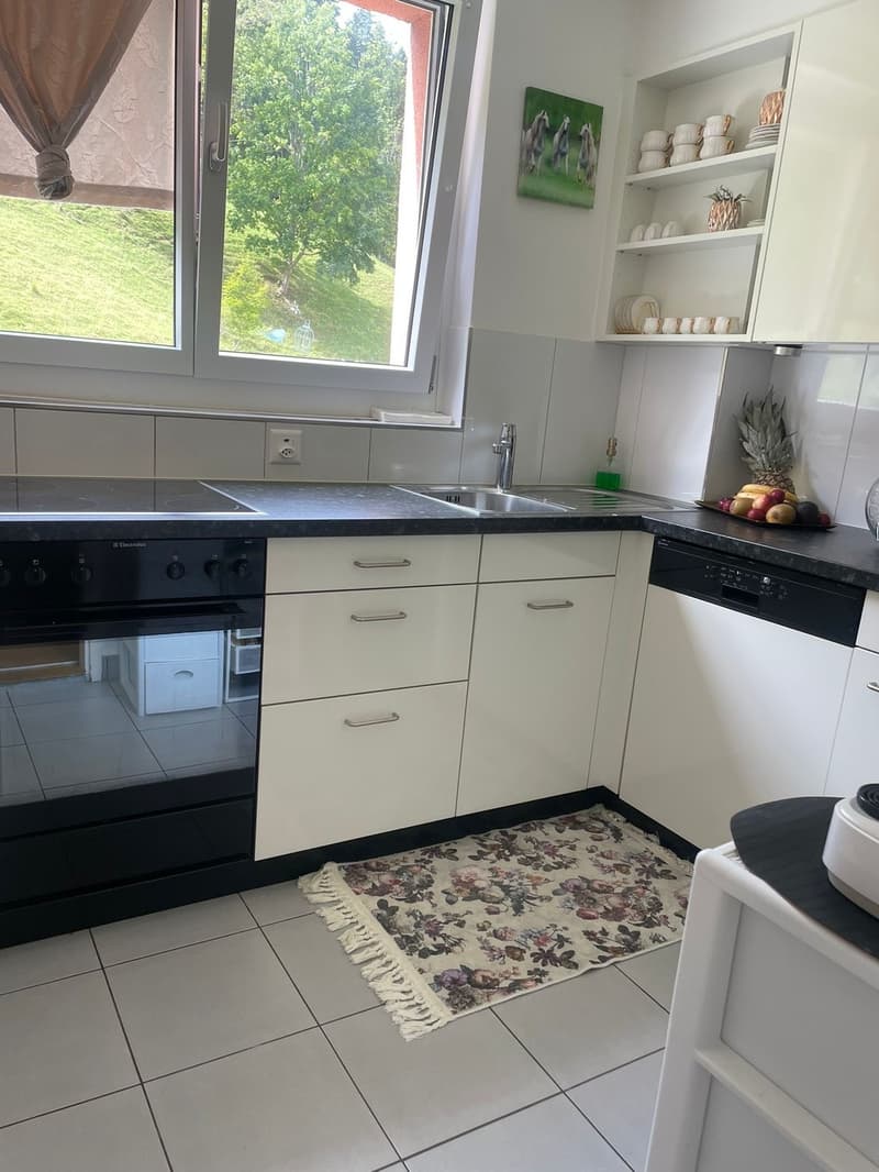 Large 4 1/2 room apartment with sunny balcony (3)