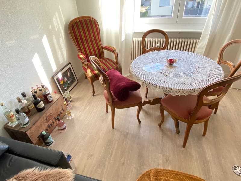 Appartement 2 pièces magnifique au cœur de Reinach BL (10)