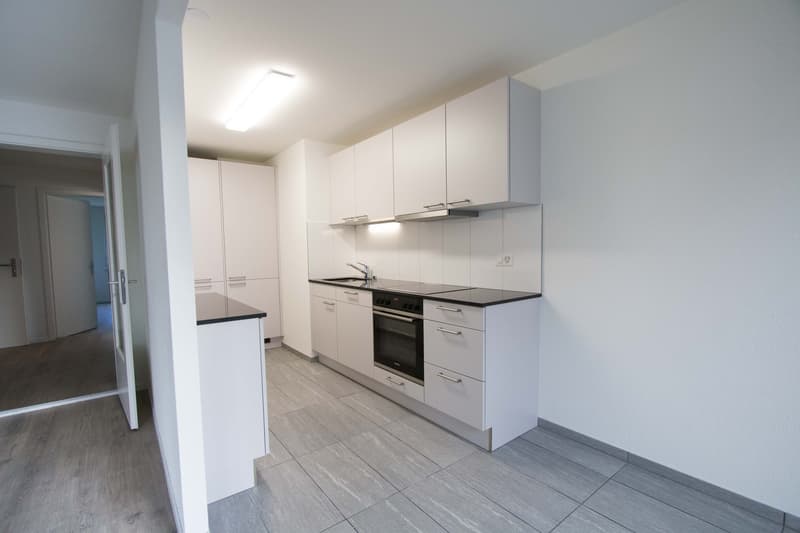Appartement 2 pièces magnifique au cœur de Reinach BL (3)