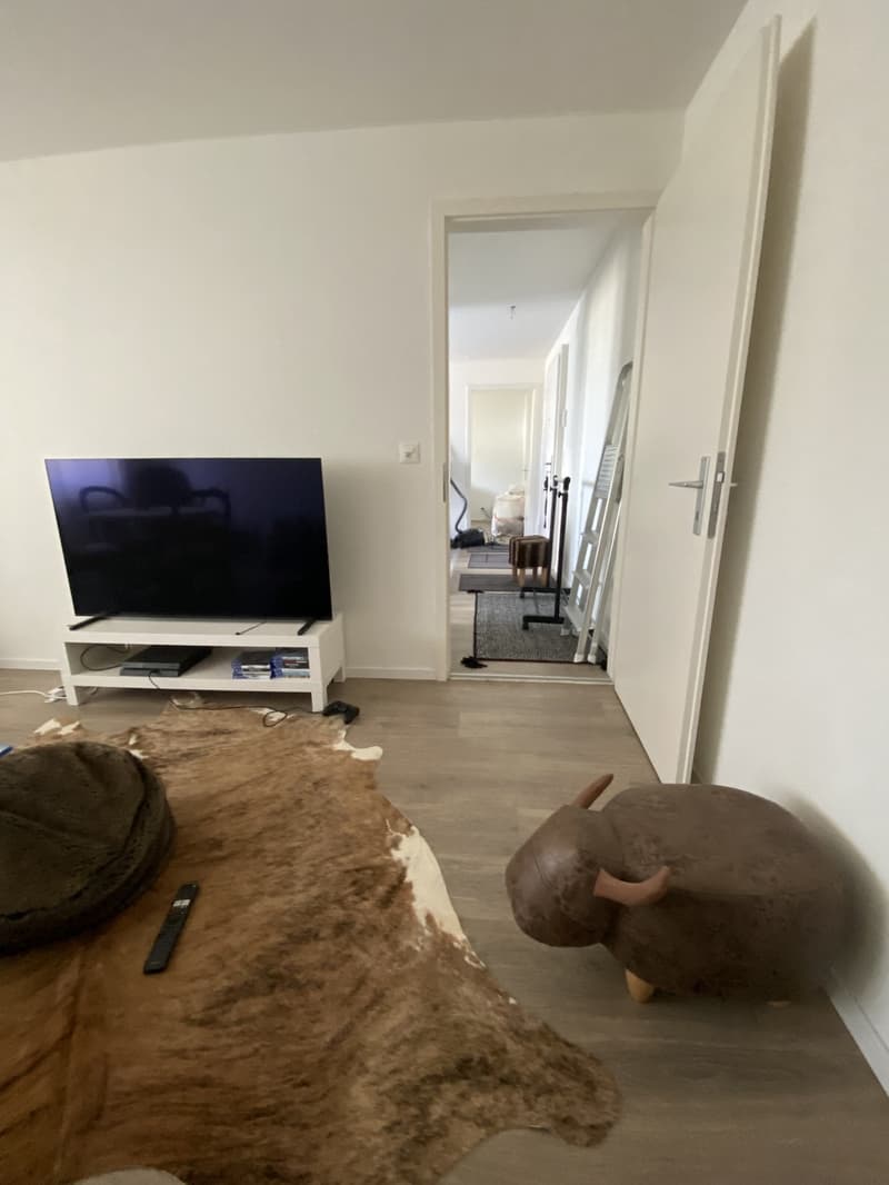 Appartement 2 pièces magnifique au cœur de Reinach BL (8)