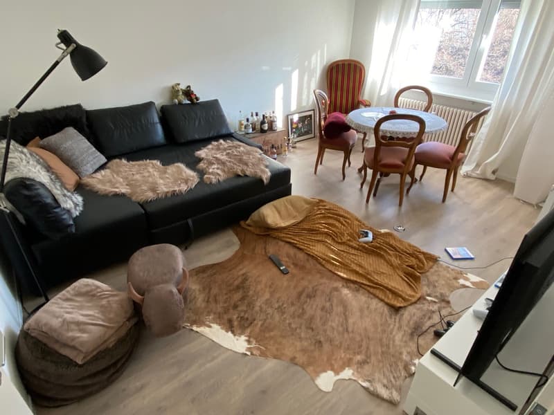 Appartement 2 pièces magnifique au cœur de Reinach BL (9)
