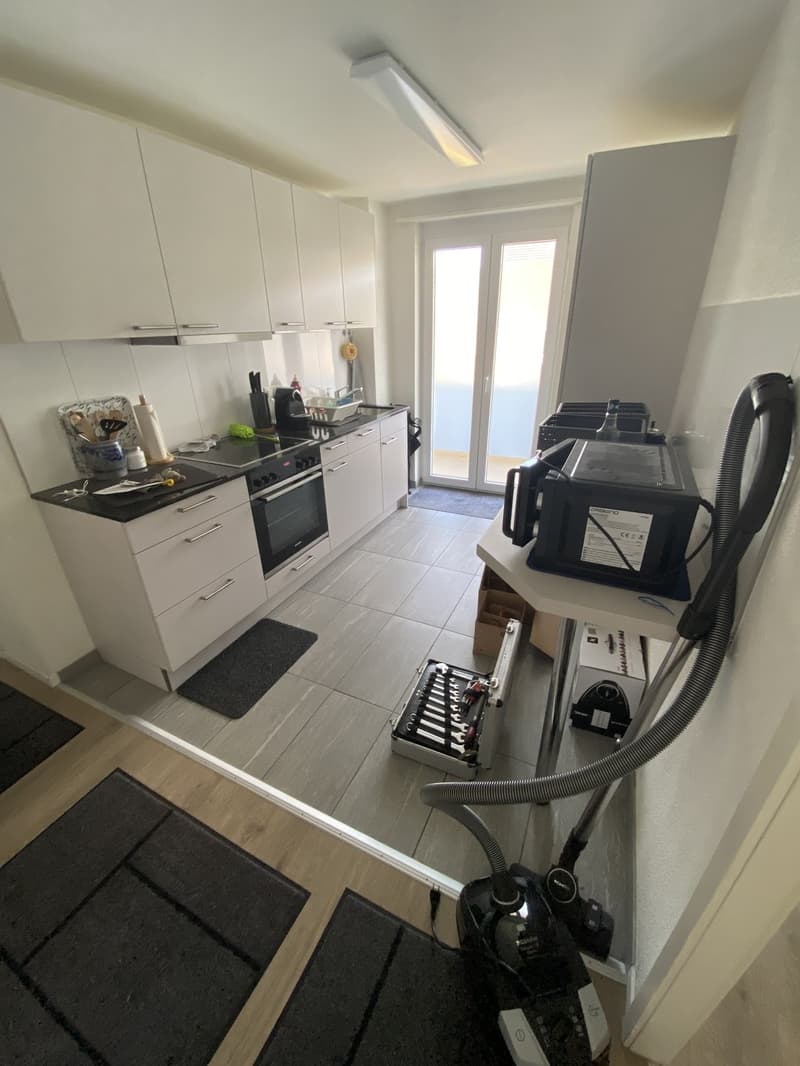 Appartement 2 pièces magnifique au cœur de Reinach BL (4)