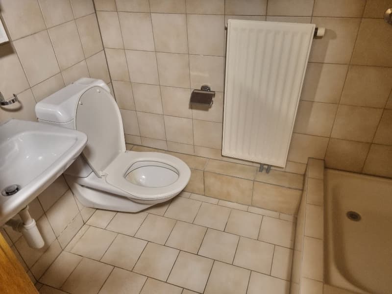 Ampia camera con cucina - nel pieno centro! (4)