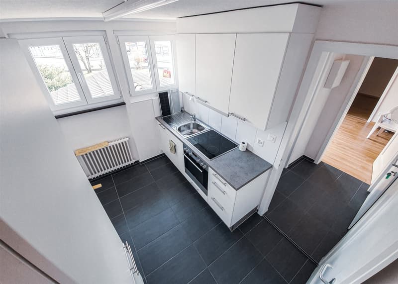 Appartement rénové baigné de lumière (6)