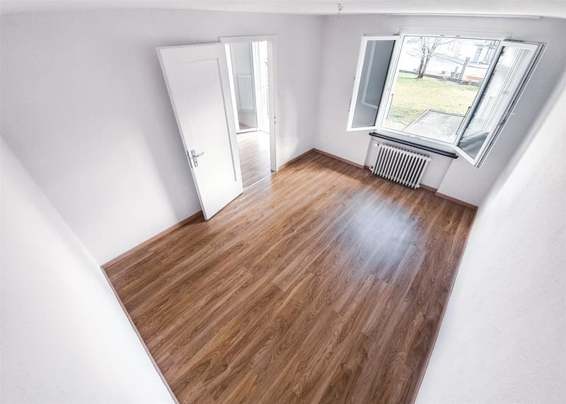 Appartement rénové baigné de lumière (4)