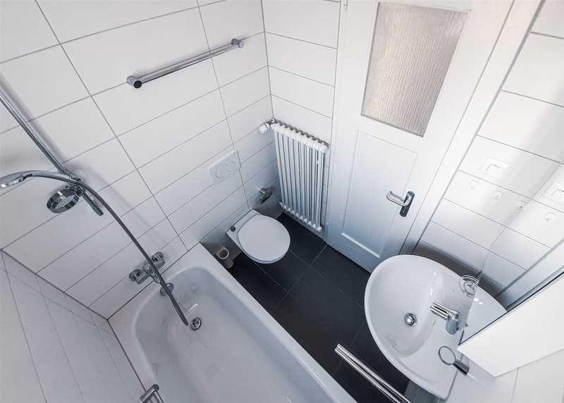 Appartement rénové baigné de lumière (5)