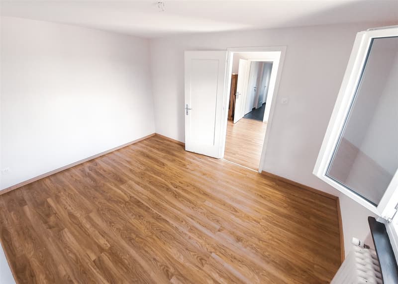Appartement rénové baigné de lumière (2)