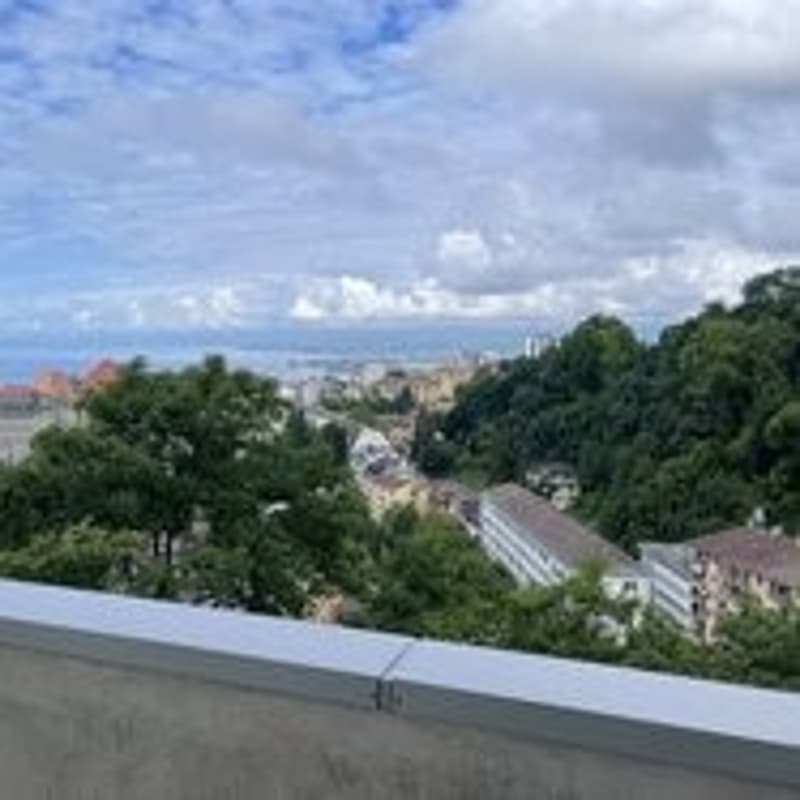 2 rooms near Chuv and metro with balcony and lake view (1)