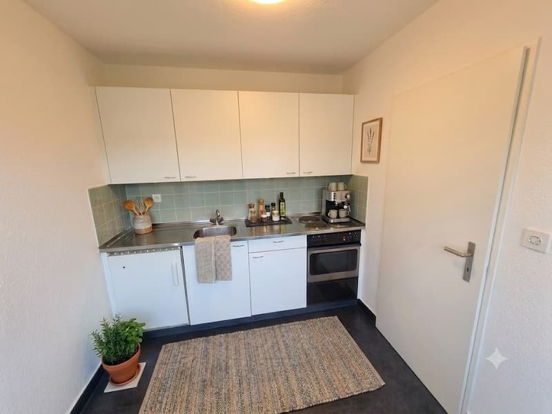 Helle 1-Zimmer-Wohnung frisch gestrichen, mit neuem Boden und Balkon ins Grüne (5)