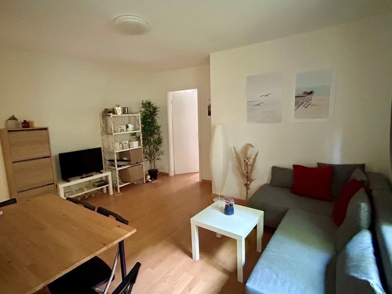 Casa accogliente in una posizione tranquilla nel distretto 3 (1)