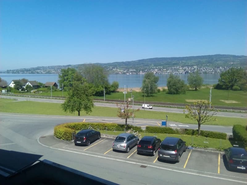Vista da sogno sul lago di Zurigo! (1)