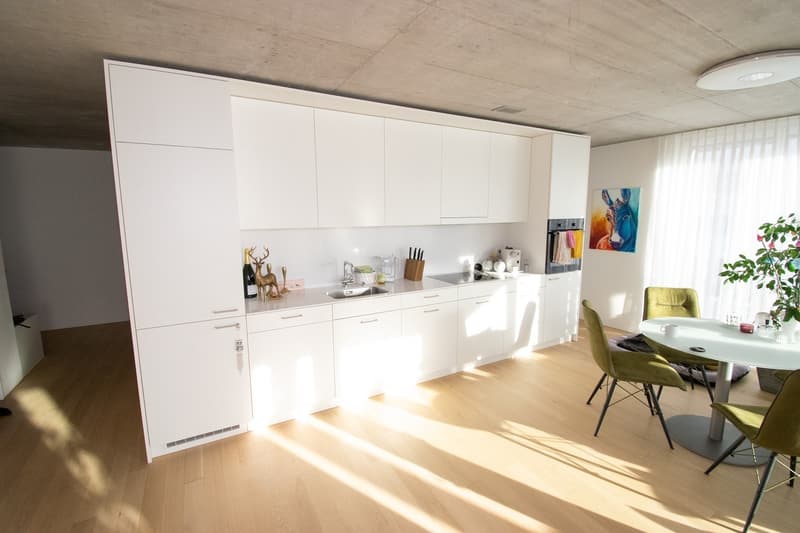 Appartamento moderno e luminoso di 2,5 locali nel centro di Pratteln (65m2) (3)