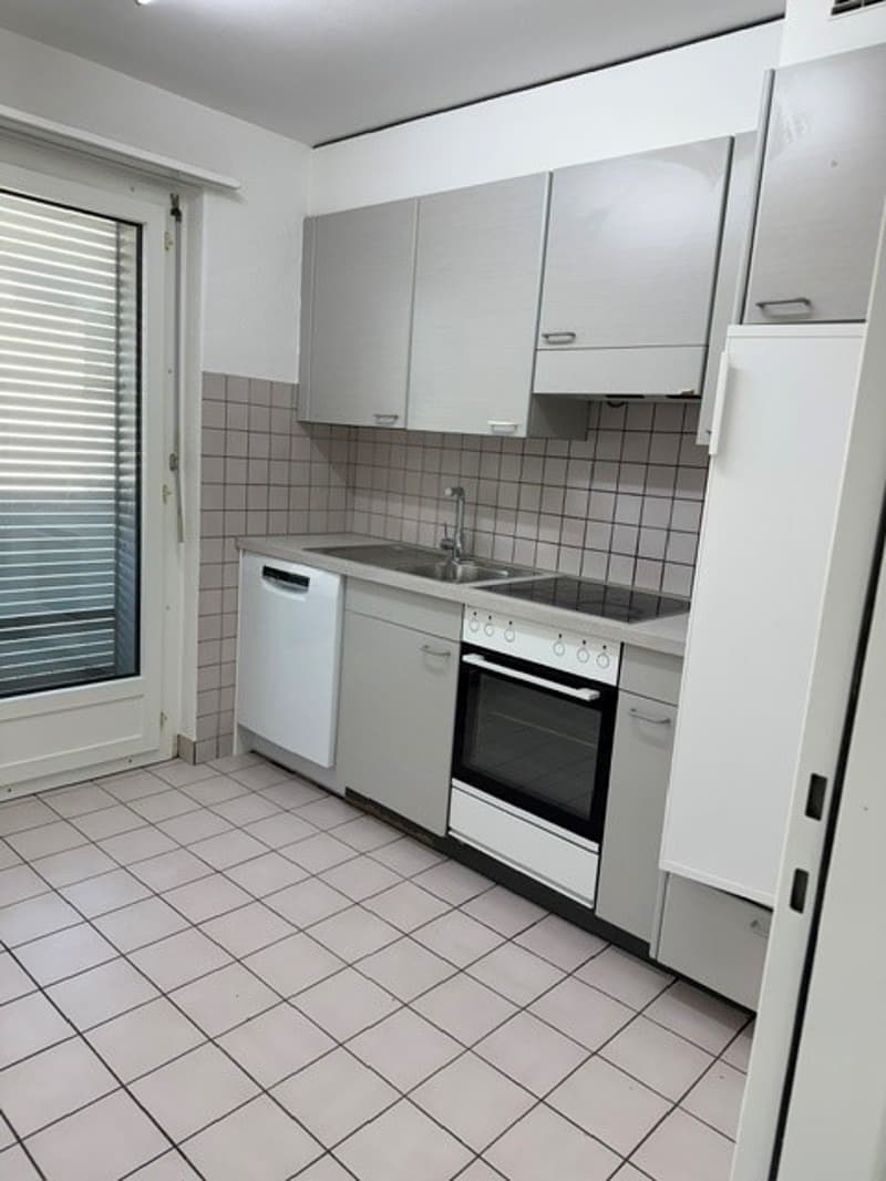 Posizione centrale - bagno ristrutturato - balcone (5)