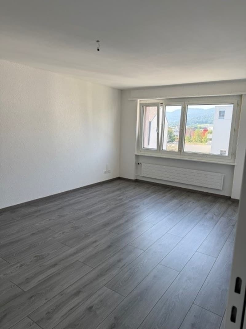 Posizione centrale - bagno ristrutturato - balcone (6)