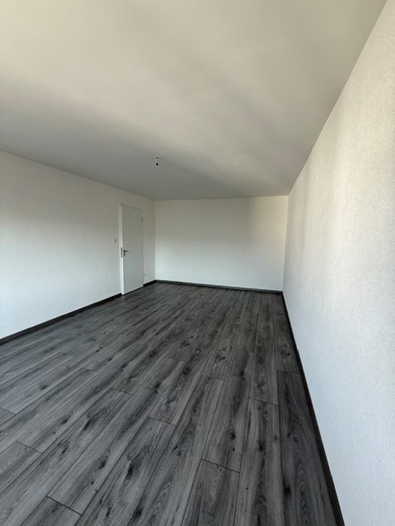 Posizione centrale - bagno ristrutturato - balcone (7)