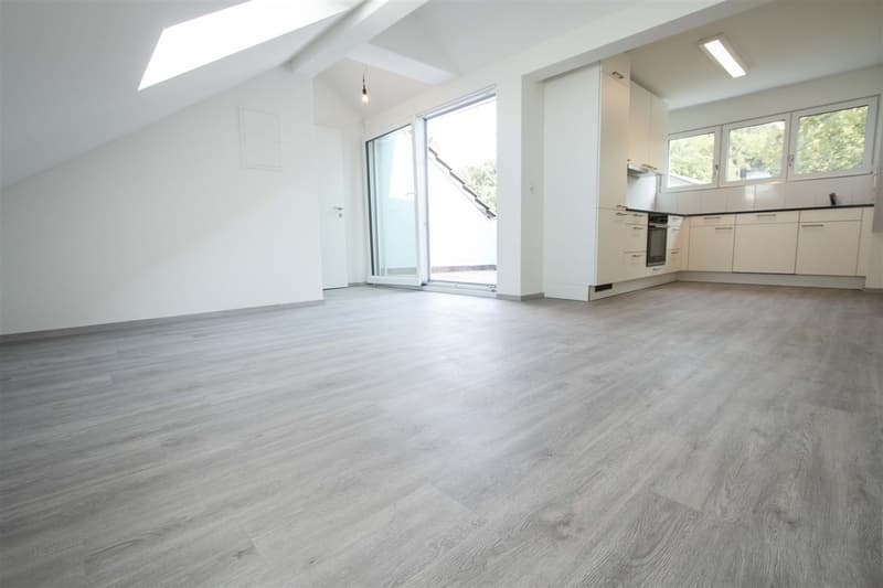 Modern attic apartment with a great view! (2)