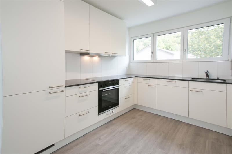 Modern attic apartment with a great view! (3)