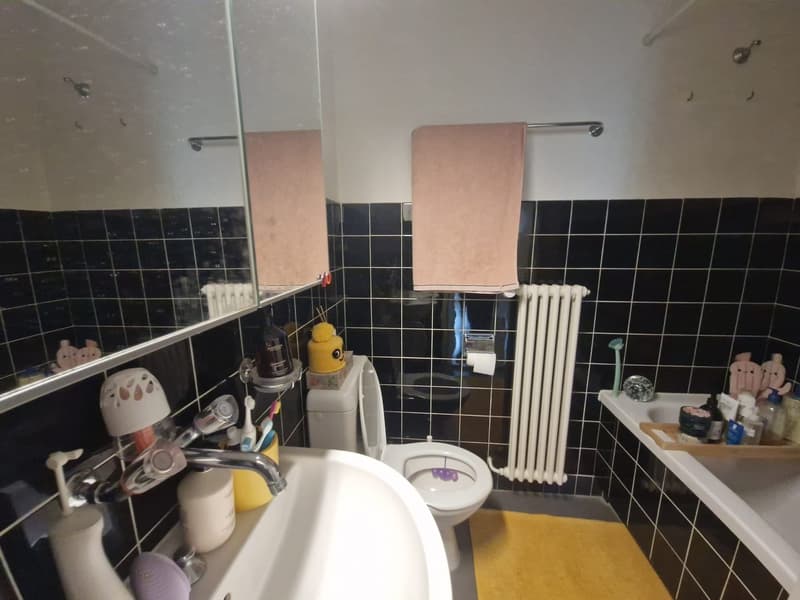 Appartement lumineux et spacieux de 3,5 pièces dans un emplacement central à Baden (7)
