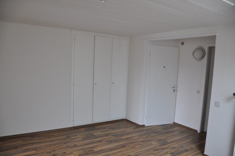 Appartement mansardé confortable et beau à louer (4)
