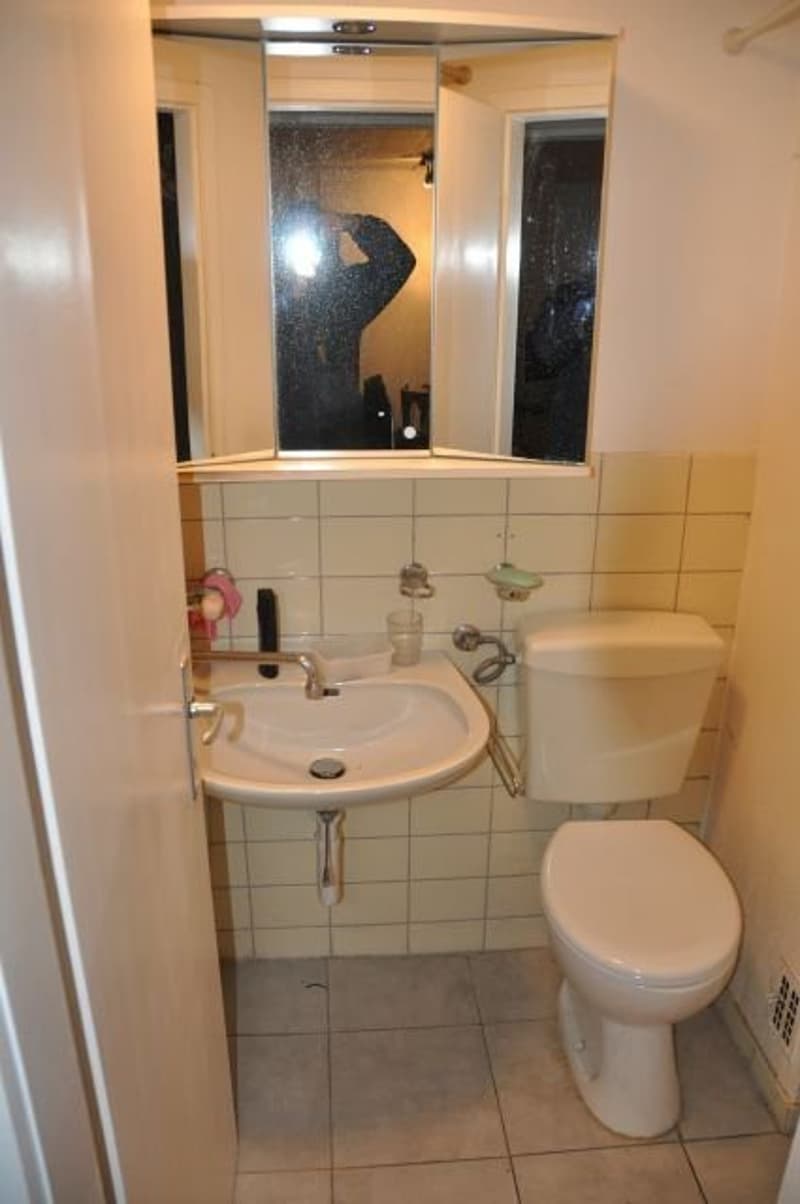 Appartement mansardé confortable et beau à louer (6)