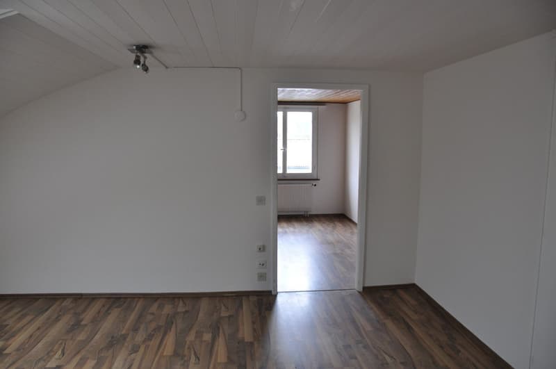 Appartement mansardé confortable et beau à louer (5)