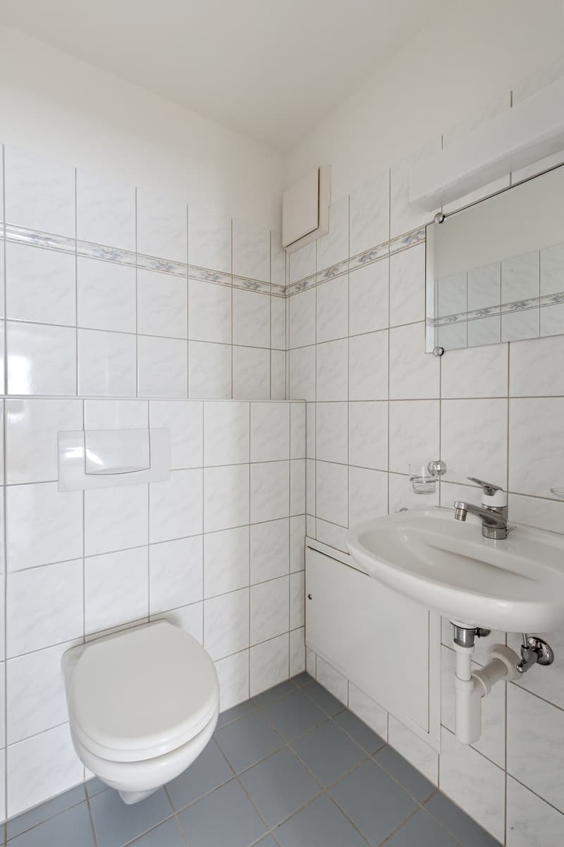 Geräumige helle Wohnung mit Balkon - zentral & im Grünen gelegen (10)