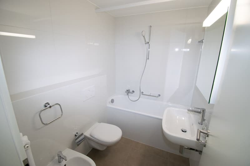 First rental after total renovation (8)