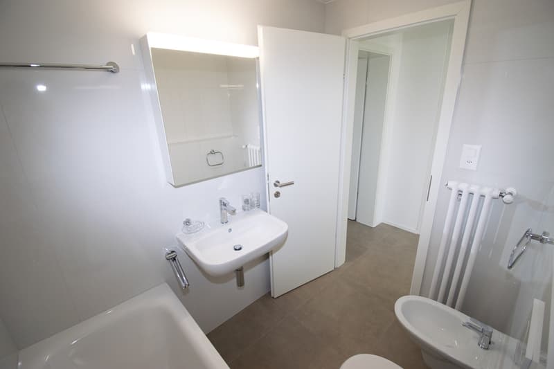 First rental after total renovation (9)