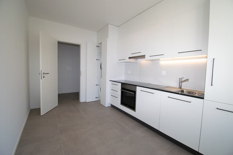 First rental after total renovation (2)