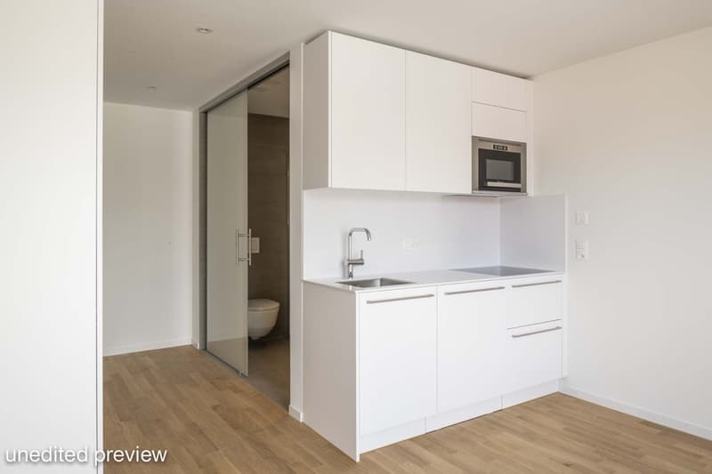 Moderne Wohnung an zentraler Lage (3)