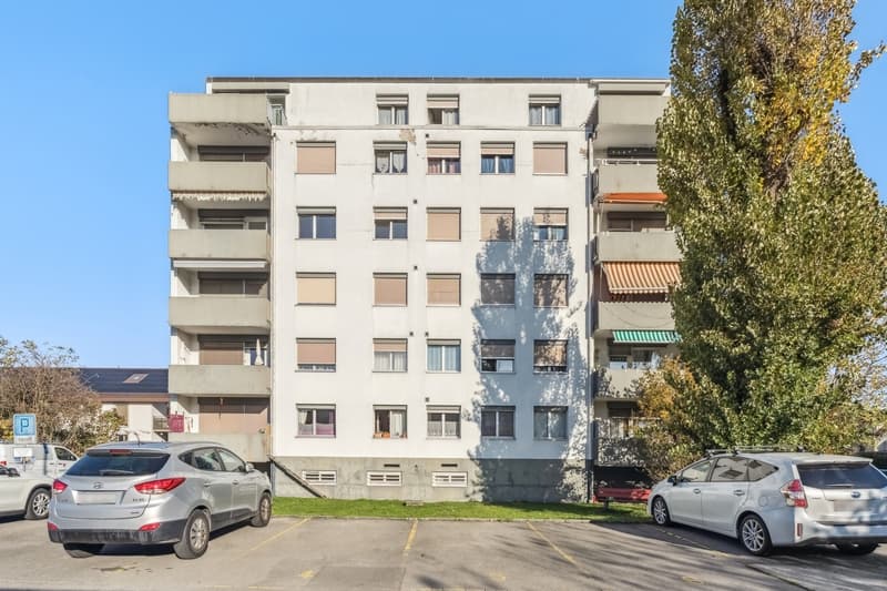 Posizione ideale - Soleggiato - Spazioso (11)