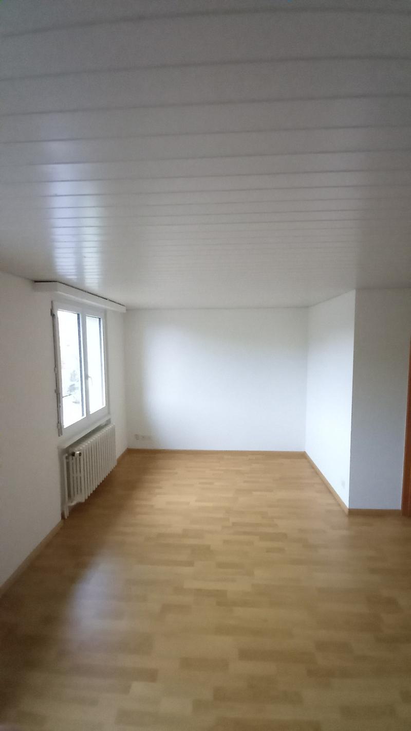 Ideale, gemütliche 1 1/2 Zimmerwohnung! (3)