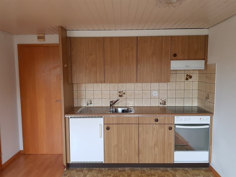 Ideale, gemütliche 1 1/2 Zimmerwohnung! (1)